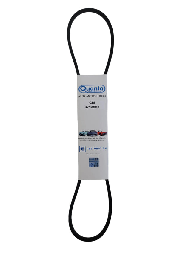 1955 Corvette Generator Belt, V8