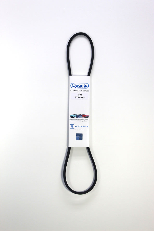 1960 - 1969 Corvair Alternator Belt