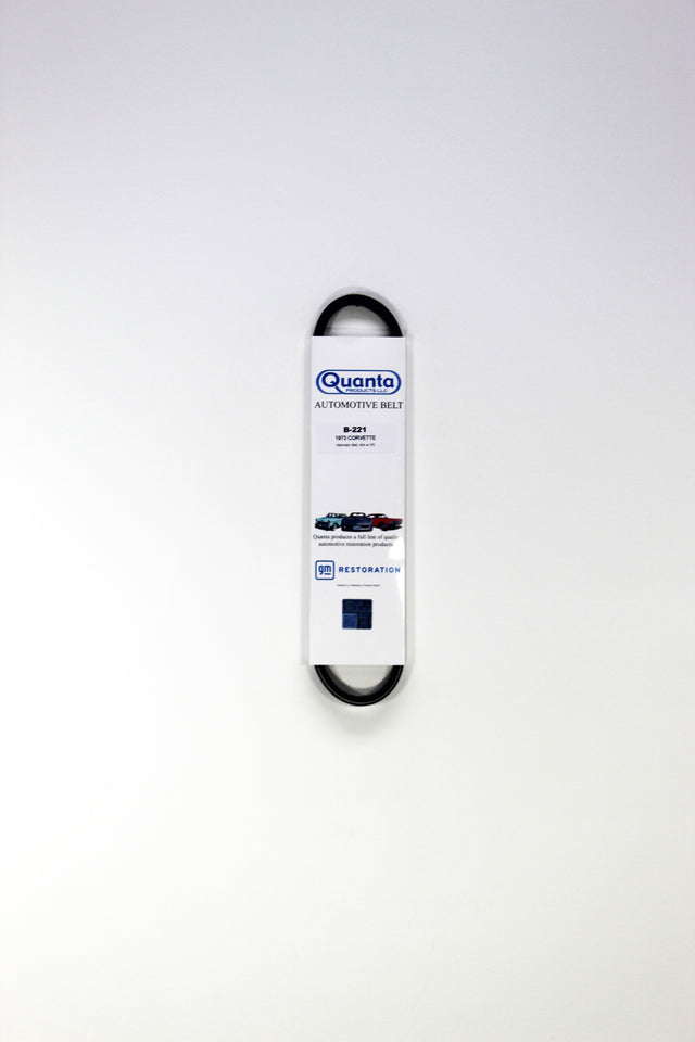 1973 Corvette Generator Belt, 454 CI with PS